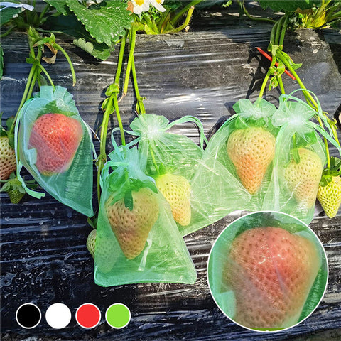 Sac de Protection pour Fruits (100 PCS)