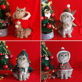 Cape de Noël pour animaux de compagnie