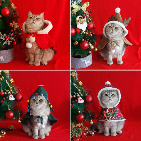 Cape de Noël pour animaux de compagnie