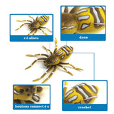 Leurres de pêche souples araignée