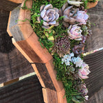Arrangement de Jardin d'Animaux Succulents