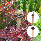 Poulet/autruche cachés drôles de long cou pour le décor de jardin