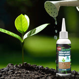 Solution nutritive pratique pour plantes