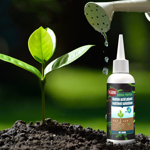 Solution nutritive pratique pour plantes
