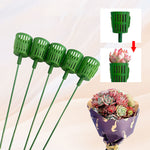 Bouquet Spécial pour Succulentes