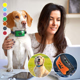 Dresseur de chiens rechargeable et étanche