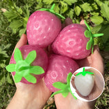 Jouet de Pincement en Forme de Fraise