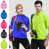 Coupe-vent de protection solaire