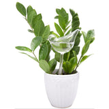 Ampoules en verre pour plantes auto-arrosantes