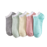 Chaussettes à rayures fraîches (5 PAIRES)