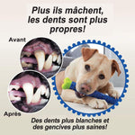 Jouet à Mâcher d'animal Familier