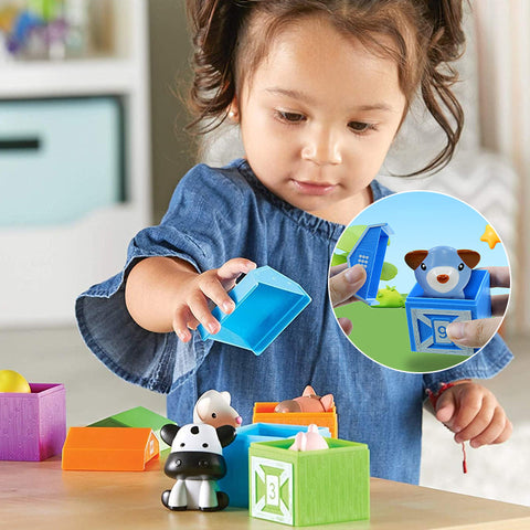 Jouet de Comptage, d'Association et de Tri