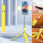 Bâton de selfie à lumière complémentaire