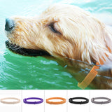 collier anti-insectes pour animaux de compagnie