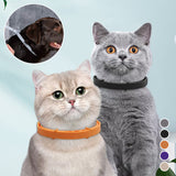 collier anti-insectes pour animaux de compagnie
