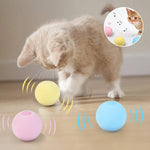 Balle de Jouet pour Chat qui Aboie par Gravité
