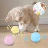 Balle de Jouet pour Chat qui Aboie par Gravité